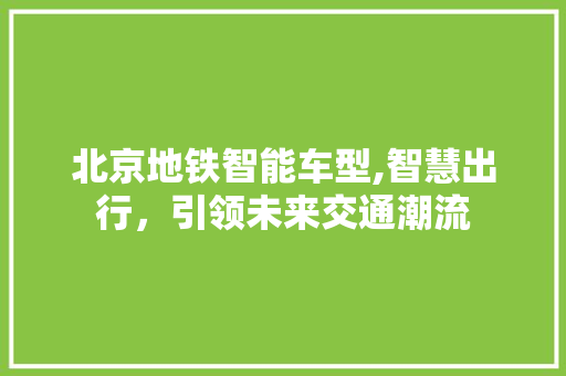 北京地铁智能车型,智慧出行，引领未来交通潮流