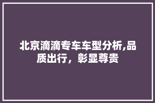 北京滴滴专车车型分析,品质出行，彰显尊贵