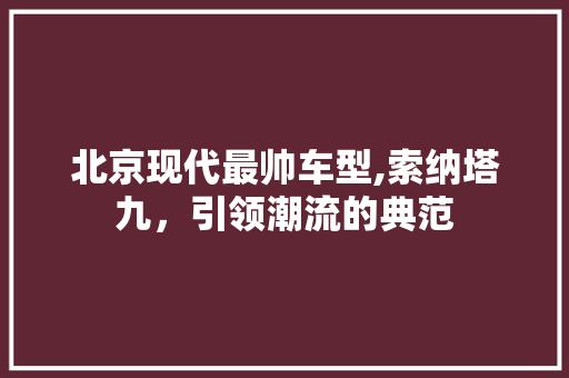 北京现代最帅车型,索纳塔九，引领潮流的典范