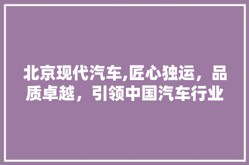 北京现代汽车,匠心独运，品质卓越，引领中国汽车行业新风尚