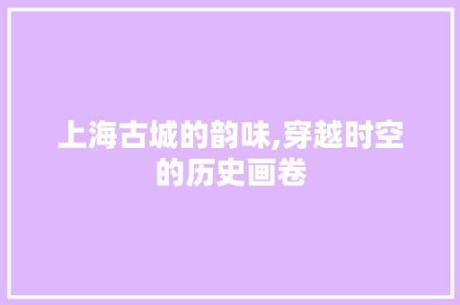 上海古城的韵味,穿越时空的历史画卷