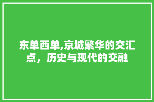 东单西单,京城繁华的交汇点，历史与现代的交融