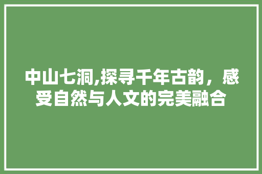 中山七洞,探寻千年古韵，感受自然与人文的完美融合