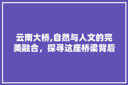 云南大桥,自然与人文的完美融合，探寻这座桥梁背后的故事