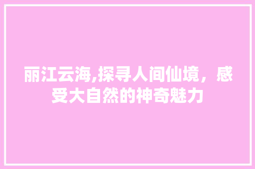 丽江云海,探寻人间仙境，感受大自然的神奇魅力