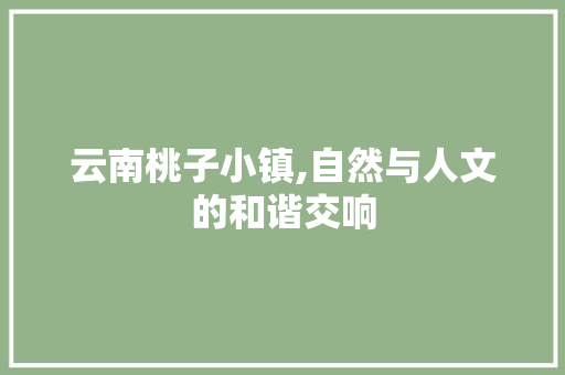 云南桃子小镇,自然与人文的和谐交响