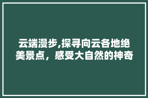 云端漫步,探寻向云各地绝美景点，感受大自然的神奇魅力