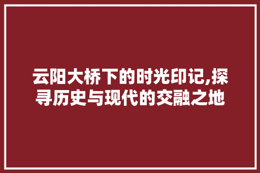 云阳大桥下的时光印记,探寻历史与现代的交融之地