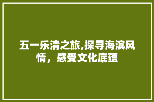 五一乐清之旅,探寻海滨风情，感受文化底蕴