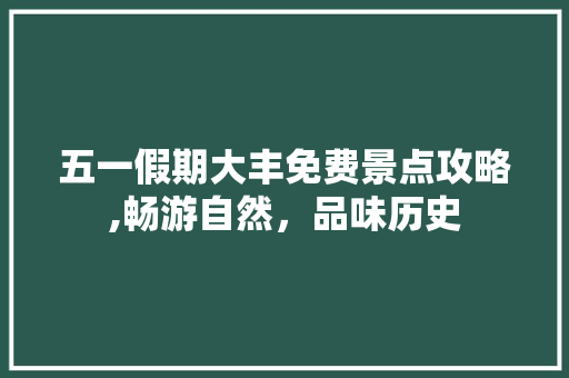 五一假期大丰免费景点攻略,畅游自然，品味历史