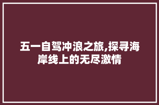 五一自驾冲浪之旅,探寻海岸线上的无尽激情