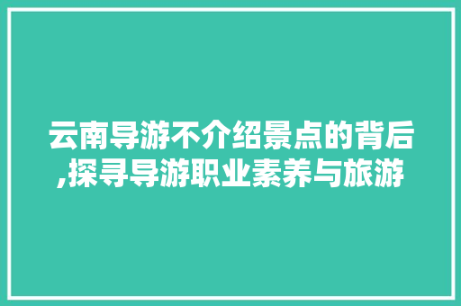 云南导游不介绍景点的背后,探寻导游职业素养与旅游体验的平衡