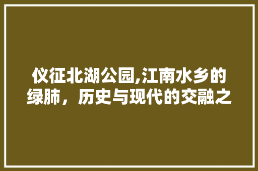 仪征北湖公园,江南水乡的绿肺，历史与现代的交融之地