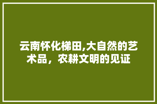 云南怀化梯田,大自然的艺术品，农耕文明的见证