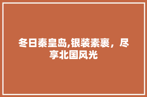 冬日秦皇岛,银装素裹，尽享北国风光