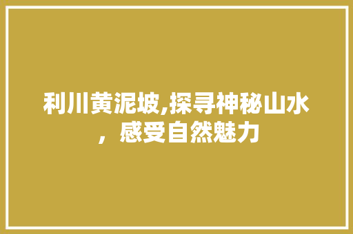 利川黄泥坡,探寻神秘山水，感受自然魅力