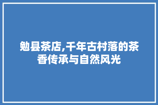 勉县茶店,千年古村落的茶香传承与自然风光