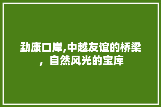 勐康口岸,中越友谊的桥梁，自然风光的宝库