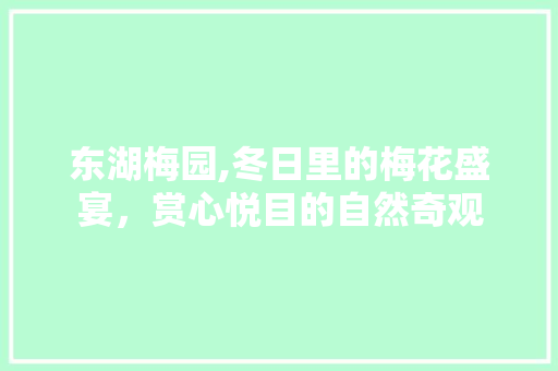 东湖梅园,冬日里的梅花盛宴，赏心悦目的自然奇观