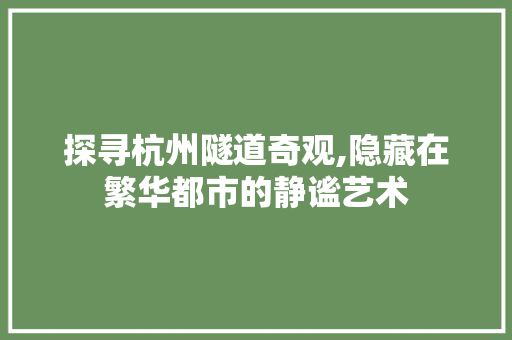 探寻杭州隧道奇观,隐藏在繁华都市的静谧艺术