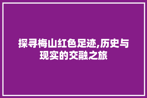 探寻梅山红色足迹,历史与现实的交融之旅