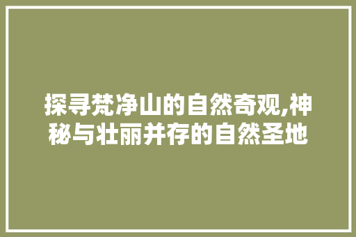 探寻梵净山的自然奇观,神秘与壮丽并存的自然圣地