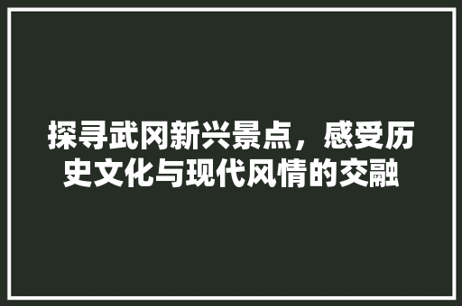 探寻武冈新兴景点，感受历史文化与现代风情的交融