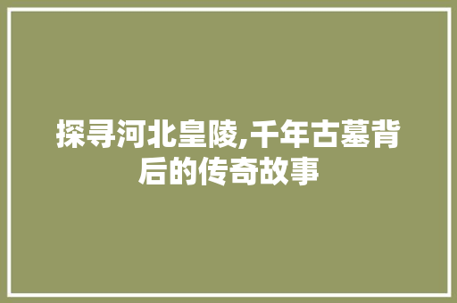 探寻河北皇陵,千年古墓背后的传奇故事