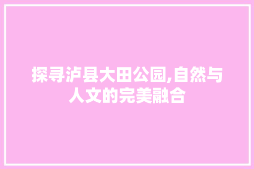 探寻泸县大田公园,自然与人文的完美融合