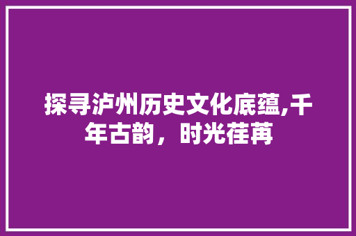 探寻泸州历史文化底蕴,千年古韵，时光荏苒