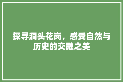 探寻洞头花岗，感受自然与历史的交融之美