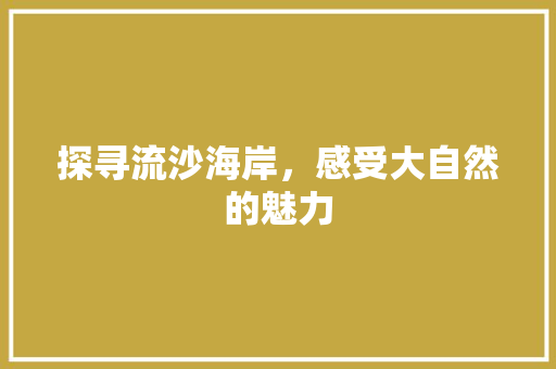 探寻流沙海岸，感受大自然的魅力