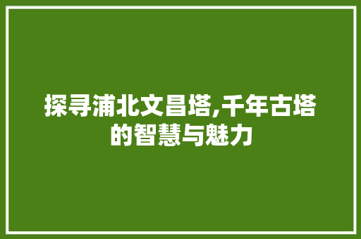 探寻浦北文昌塔,千年古塔的智慧与魅力