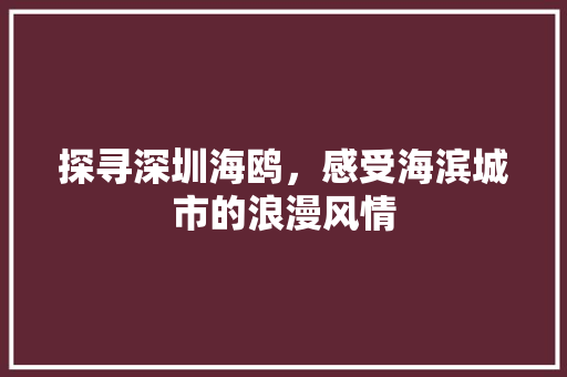 探寻深圳海鸥，感受海滨城市的浪漫风情