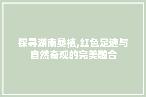 探寻湖南桑植,红色足迹与自然奇观的完美融合