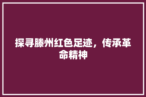 探寻滕州红色足迹，传承革命精神