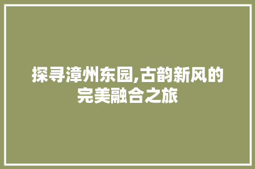 探寻漳州东园,古韵新风的完美融合之旅