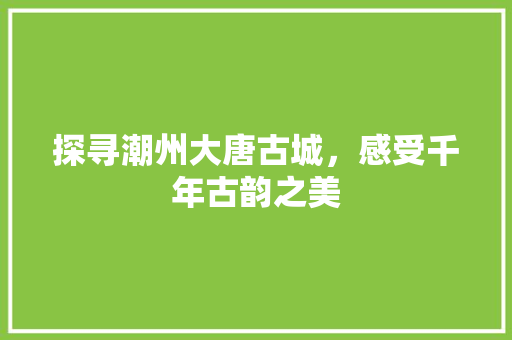 探寻潮州大唐古城，感受千年古韵之美