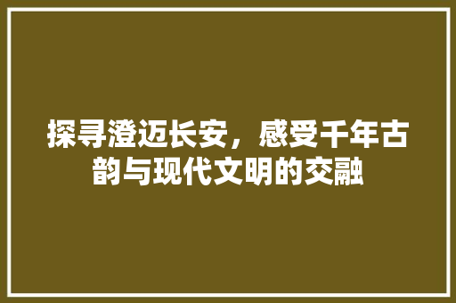 探寻澄迈长安，感受千年古韵与现代文明的交融