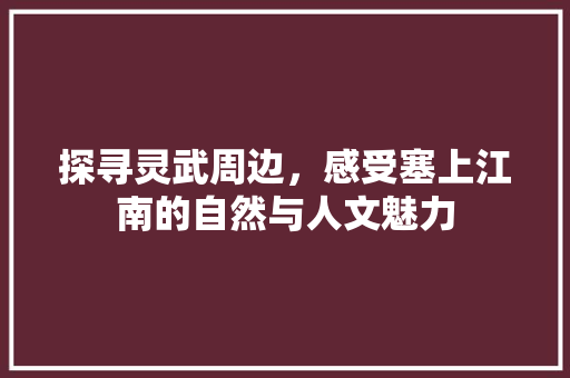 探寻灵武周边，感受塞上江南的自然与人文魅力