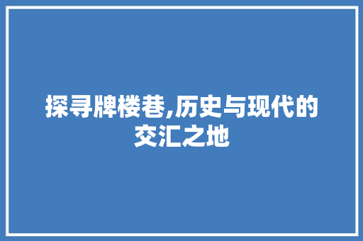 探寻牌楼巷,历史与现代的交汇之地