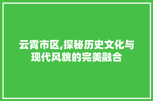 云霄市区,探秘历史文化与现代风貌的完美融合