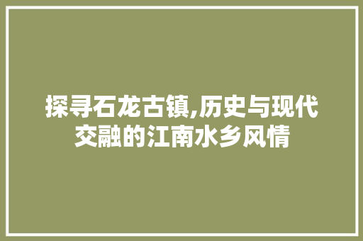 探寻石龙古镇,历史与现代交融的江南水乡风情