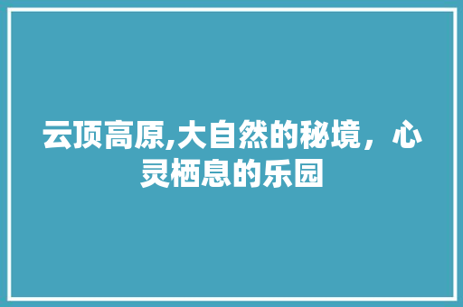 云顶高原,大自然的秘境，心灵栖息的乐园