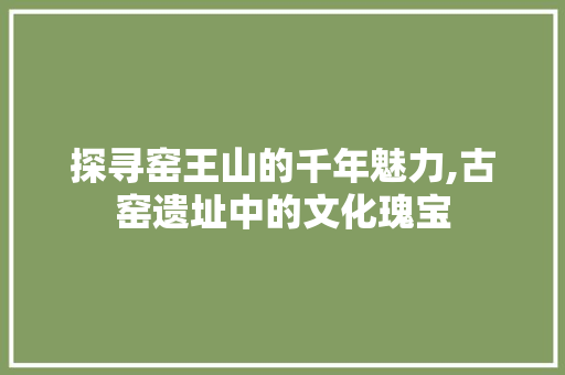 探寻窑王山的千年魅力,古窑遗址中的文化瑰宝