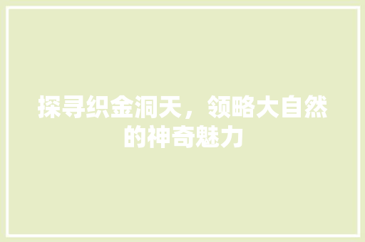 探寻织金洞天，领略大自然的神奇魅力