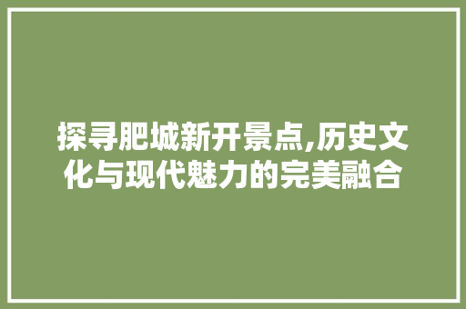 探寻肥城新开景点,历史文化与现代魅力的完美融合