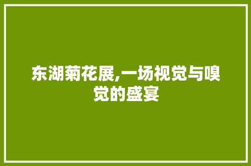 东湖菊花展,一场视觉与嗅觉的盛宴