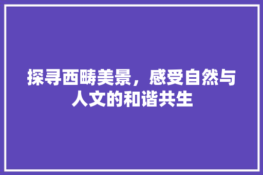 探寻西畴美景，感受自然与人文的和谐共生