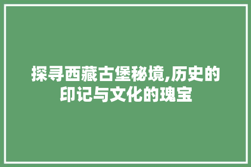 探寻西藏古堡秘境,历史的印记与文化的瑰宝